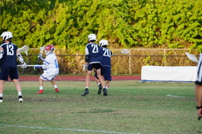 Enlarge photo 291
