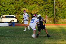 Enlarge photo 295