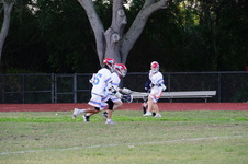 Enlarge photo 329