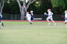 Enlarge photo 361