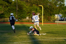Enlarge photo 380