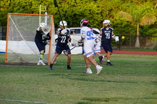 Enlarge photo 423
