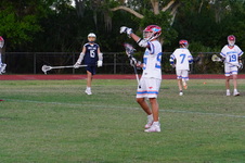 Enlarge photo 499
