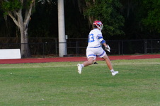 Enlarge photo 509