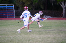 Enlarge photo 73