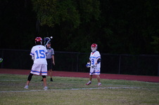 Enlarge photo 111