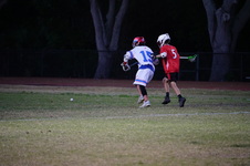 Enlarge photo 151