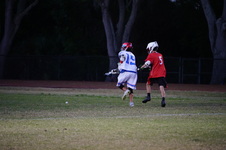 Enlarge photo 153
