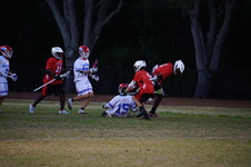 Enlarge photo 154