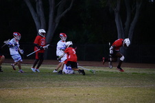 Enlarge photo 155