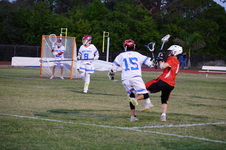 Enlarge photo 165