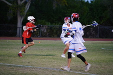 Enlarge photo 173