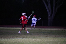 Enlarge photo 241