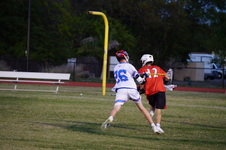 Enlarge photo 251