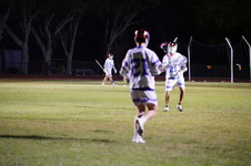 Enlarge photo 493