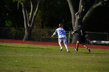 Enlarge photo 36