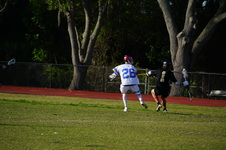 Enlarge photo 35