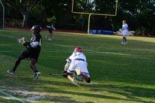 Enlarge photo 95
