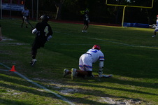 Enlarge photo 94