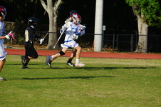 Enlarge photo 112