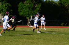 Enlarge photo 114