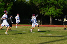 Enlarge photo 115