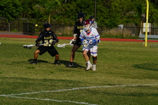 Enlarge photo 131