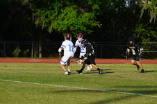 Enlarge photo 169