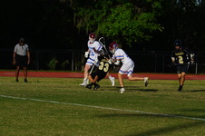 Enlarge photo 173