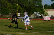 Enlarge photo 186