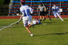 Enlarge photo 213