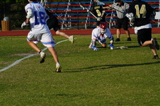 Enlarge photo 217