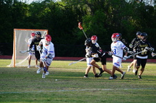 Enlarge photo 216