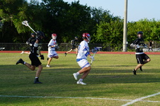 Enlarge photo 223