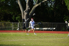 Enlarge photo 228