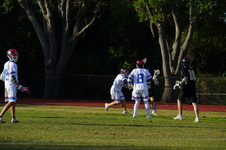 Enlarge photo 229