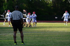 Enlarge photo 231
