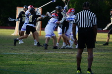 Enlarge photo 236