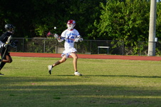 Enlarge photo 239