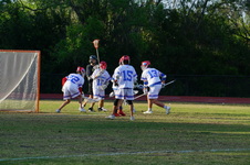 Enlarge photo 262