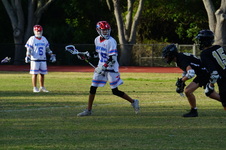 Enlarge photo 280