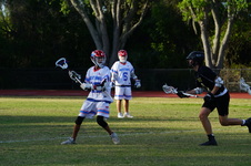 Enlarge photo 282