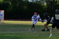 Enlarge photo 285