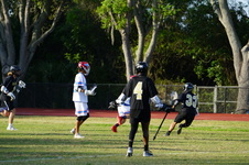 Enlarge photo 301
