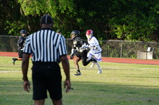 Enlarge photo 309