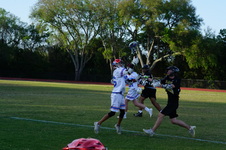 Enlarge photo 317