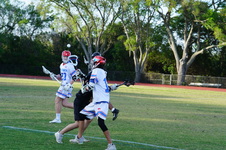 Enlarge photo 323