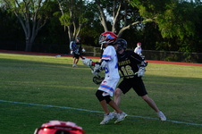 Enlarge photo 325