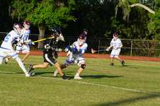 Enlarge photo 353