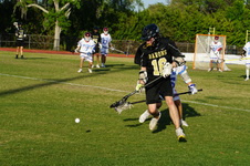 Enlarge photo 373